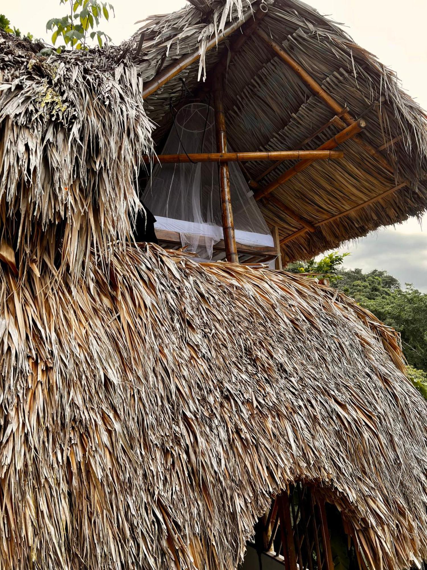 Puerto Alto Hotell Buritaca Eksteriør bilde