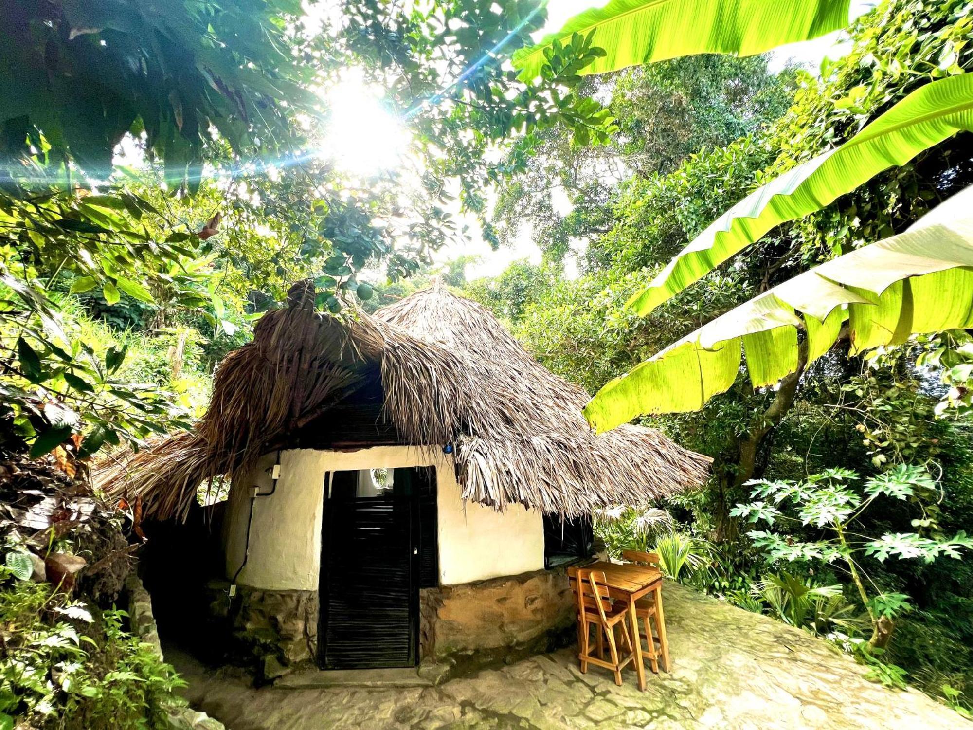 Puerto Alto Hotell Buritaca Eksteriør bilde