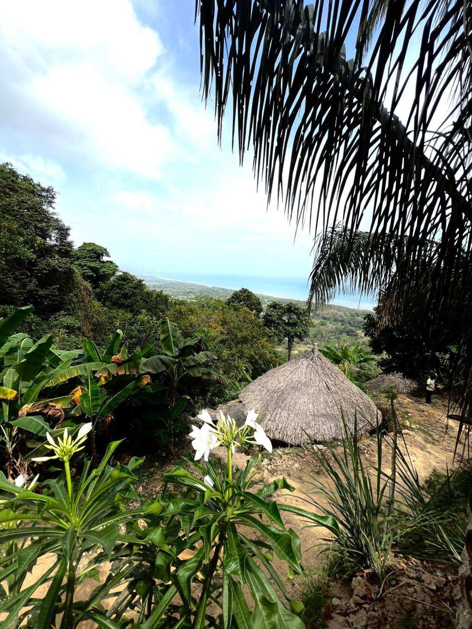 Puerto Alto Hotell Buritaca Eksteriør bilde